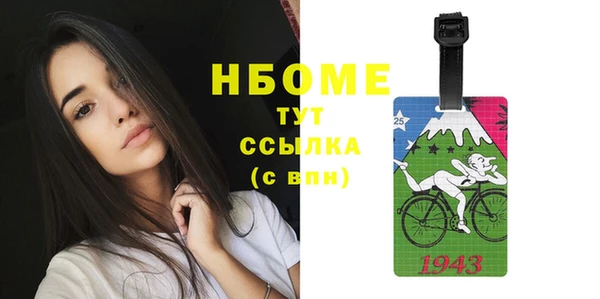 спайс Няндома