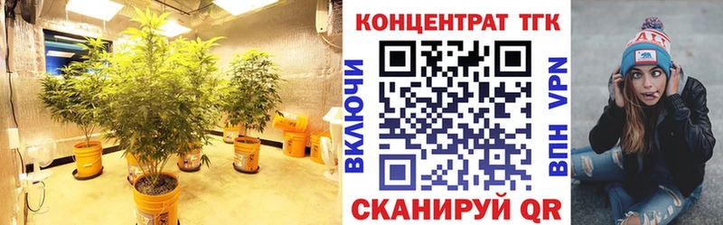 omg сайт  Южно-Сухокумск  Дистиллят ТГК концентрат 