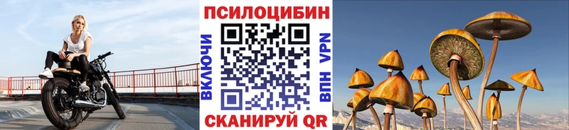 Псилоцибиновые грибы прущие грибы  Южно-Сухокумск 